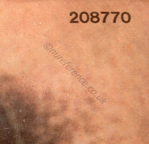 208770 Back Detail.