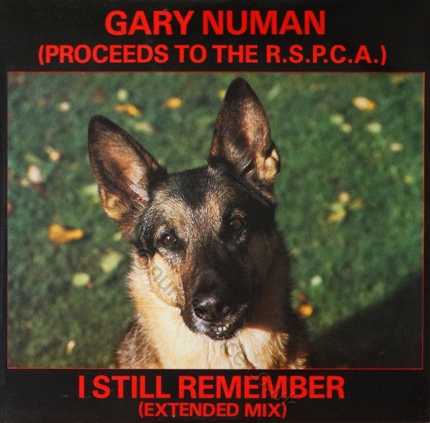 NUM 21 Cover