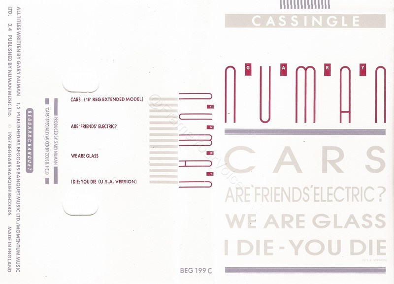 BEG 199C Cassette Cover