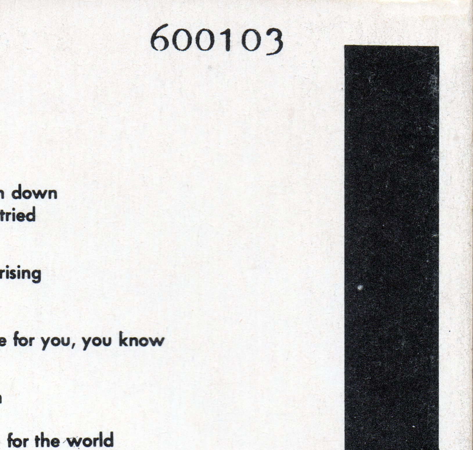 600103 NZ Inner Detail 1.