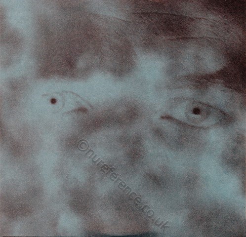 0213234EMX Inner Dust Cover.
[Same Both Sides]