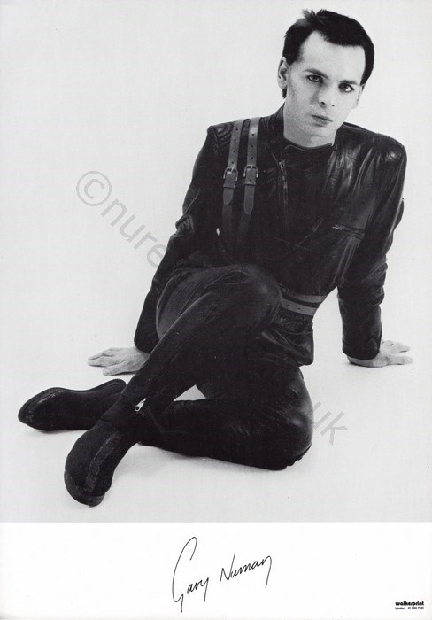 800004 Australian Detail.