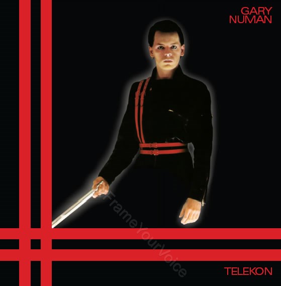 VIN180LP038 Telekon Cover 3.