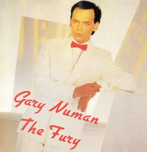 The Fury cover