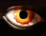 OTB Records logo