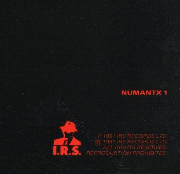 NUMANTX Back Detail