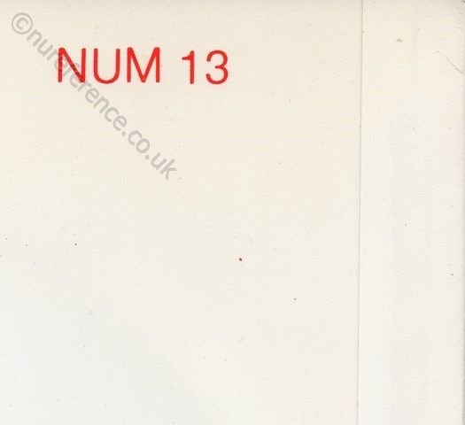 NUM 13 Back Detail