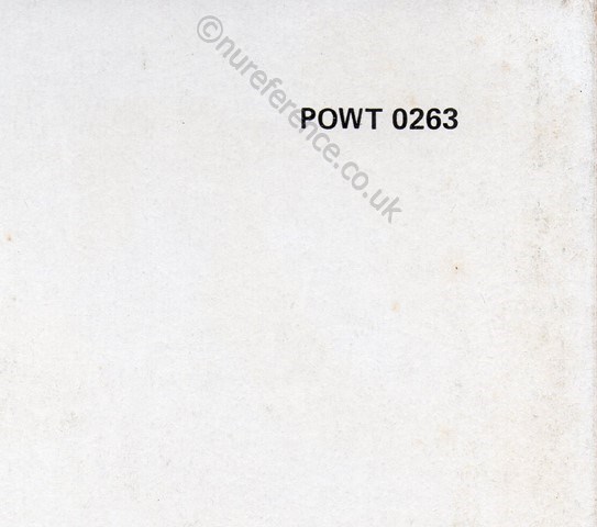 POWT 0263 Back Detail.