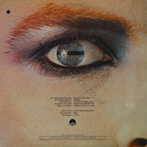 BEGA 7 Back Cover