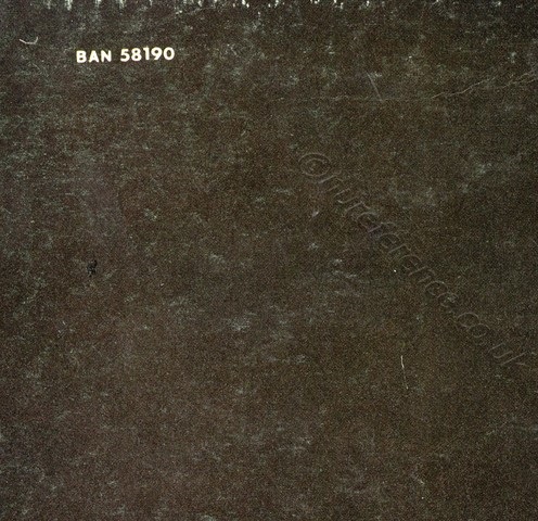 BAN 58190 Back Detail 2.