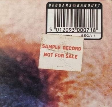 BEGA 7 Promo Sample Back Detail.