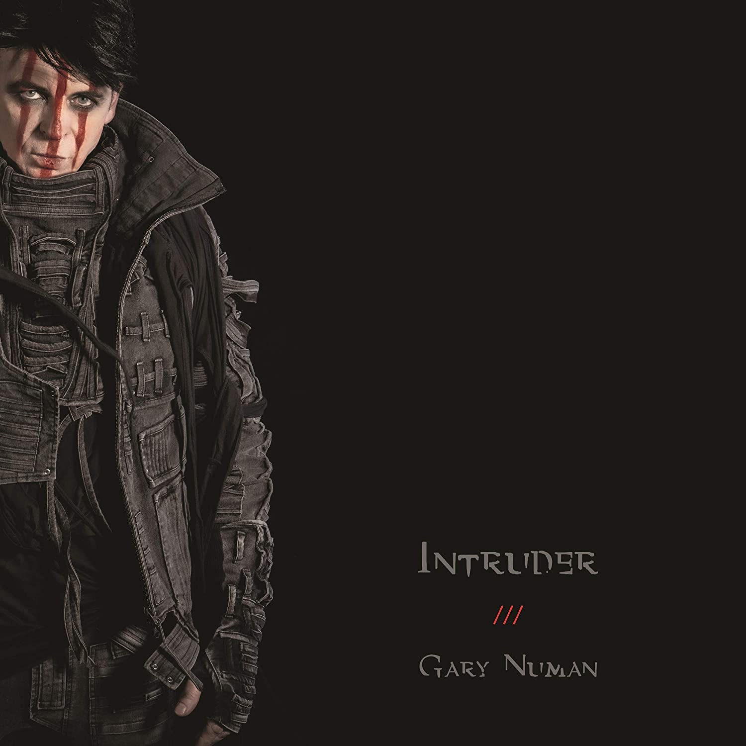 Intruder cover